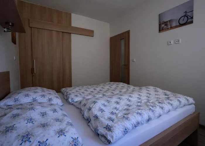 Daire 13 Všemina