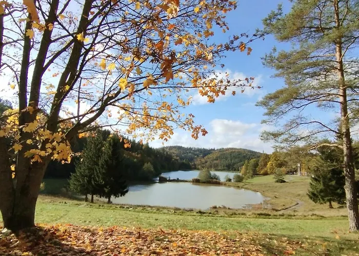 13 Daire Všemina
